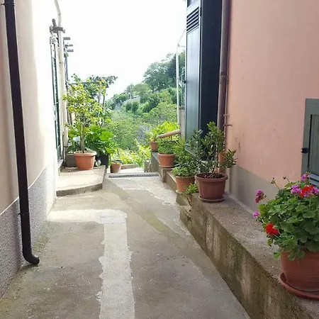 L'angolo Di Angel * Scala
